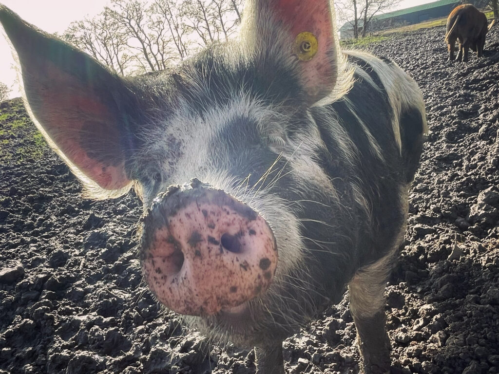 A1469AD8-7E5F-41BA-930C-4B8B757FC2DE A1469AD8 7E5F 41BA 930C 4B8B757FC2DE 1024x768